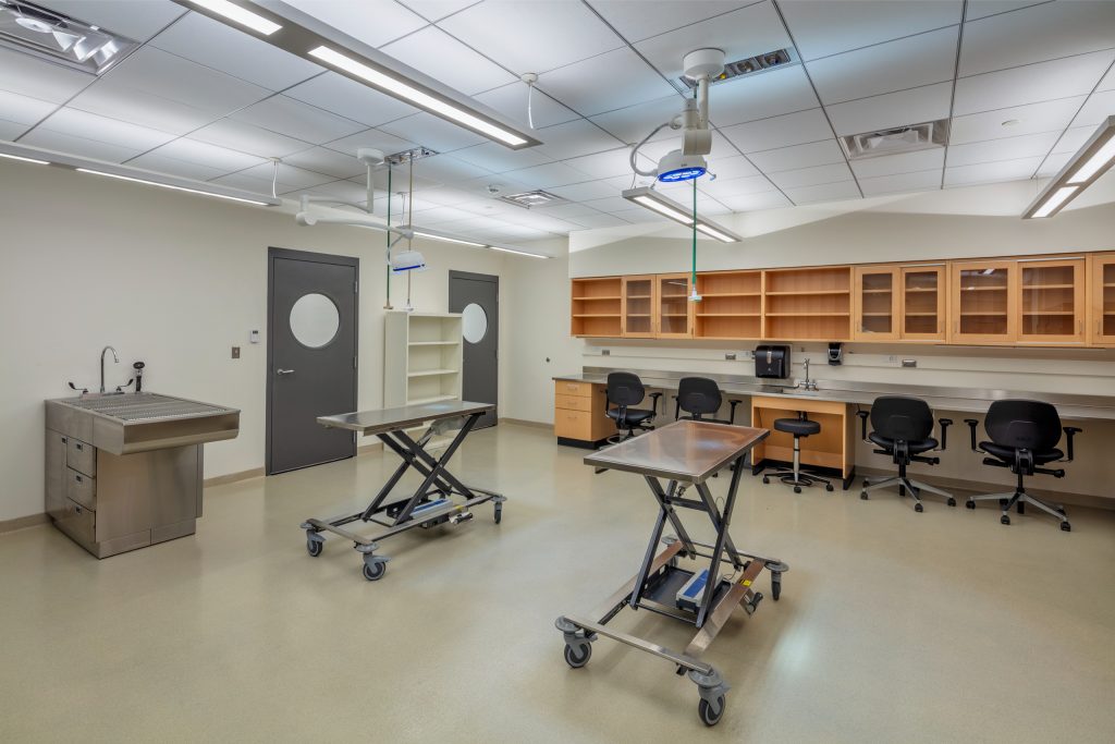 Modern veterinary examination and lab space with flexible exam tables and workspace